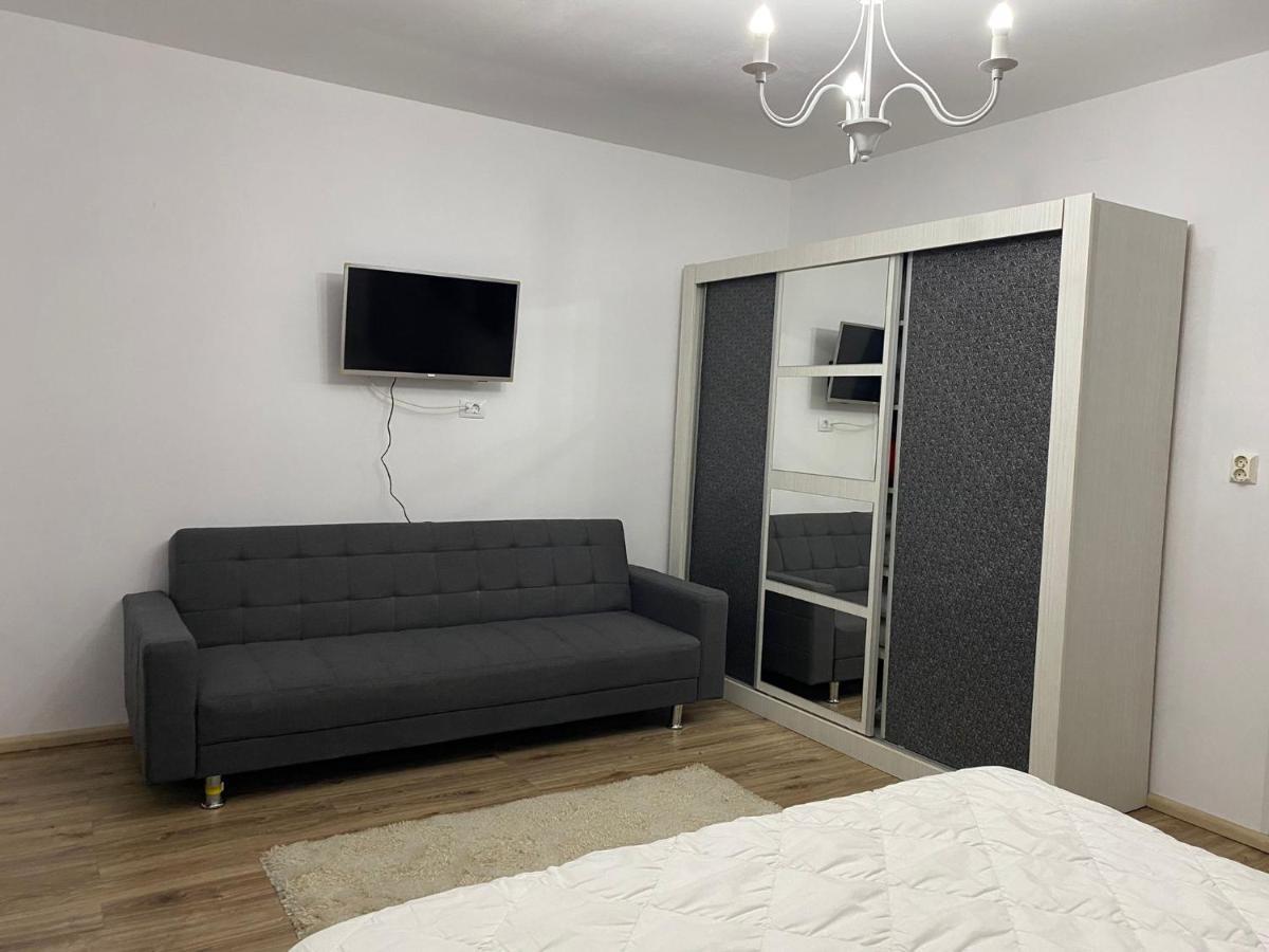 Casa Alessias Hotel Vişeu de Sus Екстериор снимка