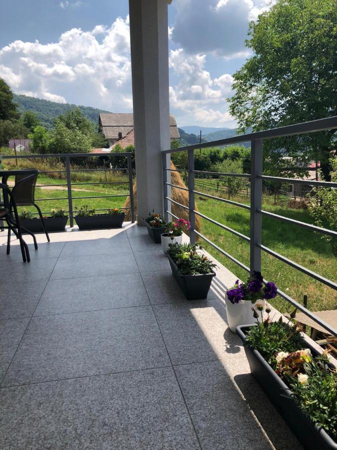 Casa Alessias Hotel Vişeu de Sus Екстериор снимка